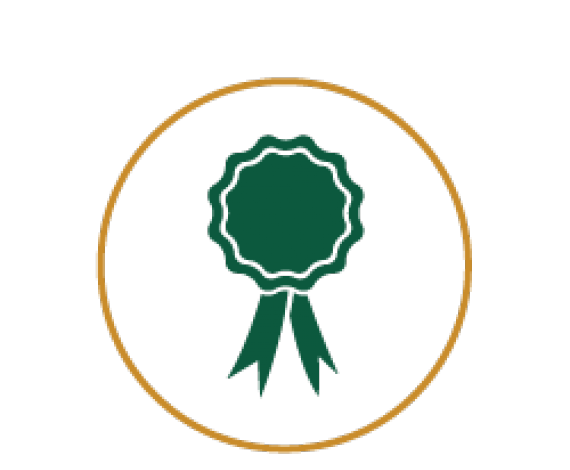 Icon of Merit Badge