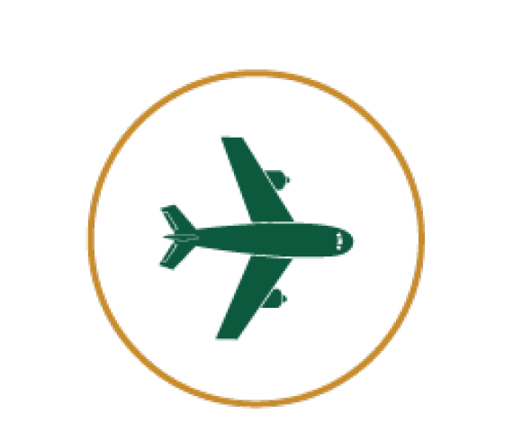 Icon of an Aeroplane
